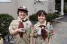 Pine Wood Derby Cars