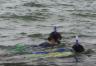 Snorkeling