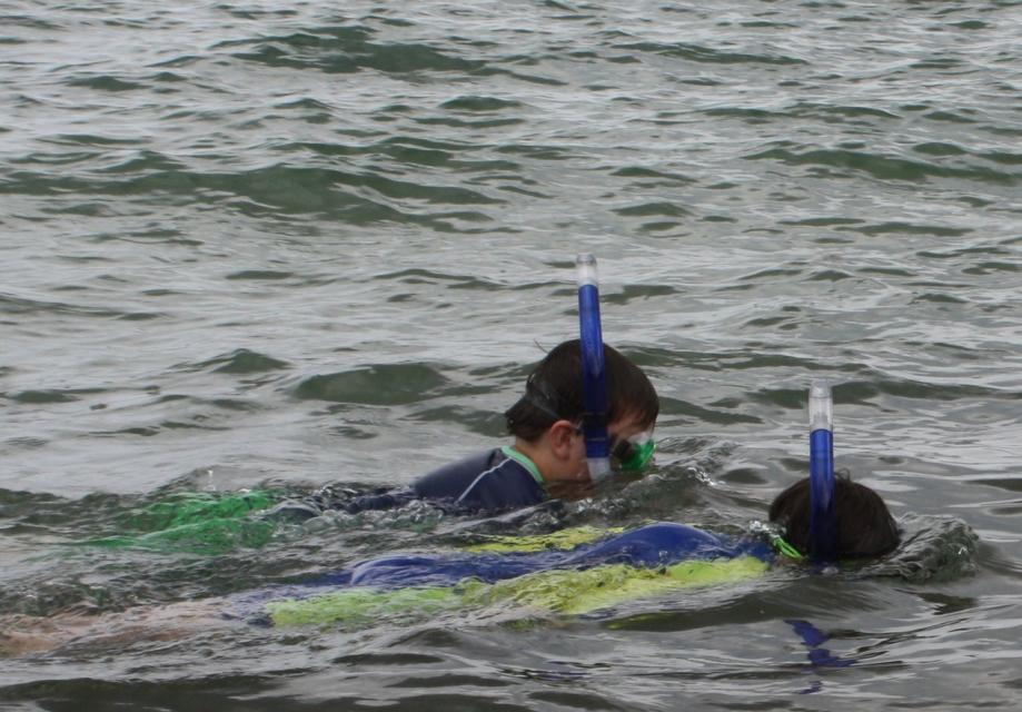 Snorkeling