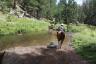 Crossing the stream