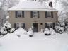 snowy