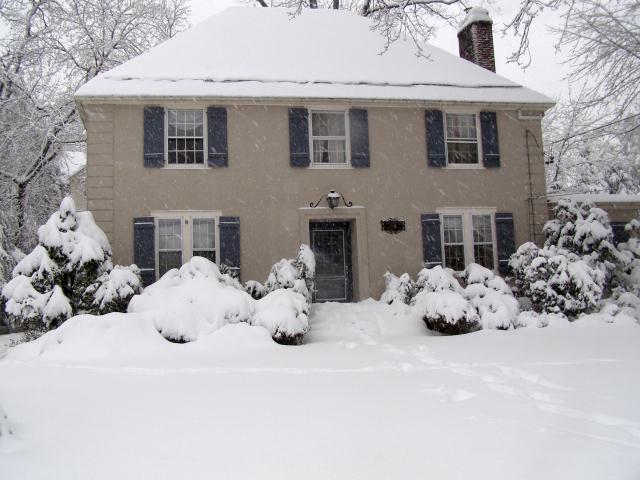snowy
