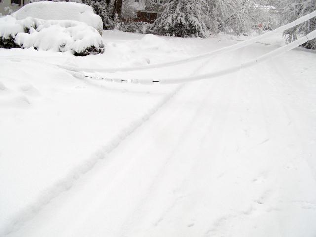 Downed lines
