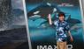 Killer Whales - Jonathan's project