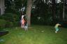 Kids on swing