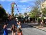 Universal Coaster