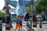 Jaws