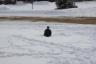 Jonathan in the snow