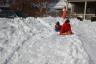 Sledding in the front