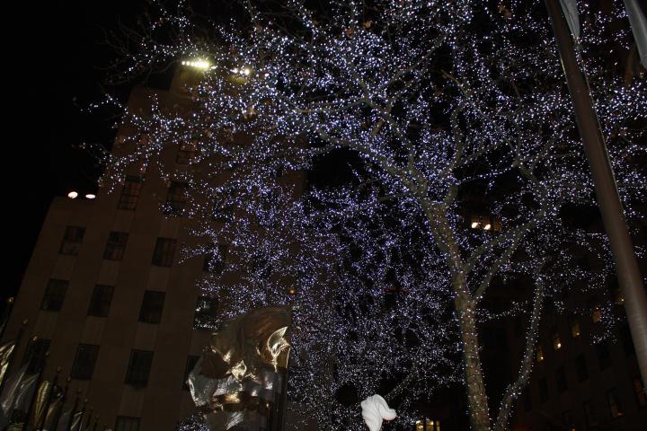Christmas in NYC