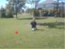 Jonathan kicks the ball&nbsp;