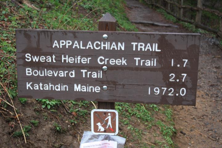 The appalachian trail