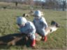 Robert and Jonathan play horsey on log