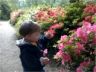 Robert by the pink azaleas