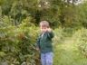 Robert - Raspberry picking.  Yeah!