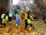Throwing leaves