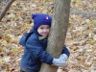 Robert becomes a 'tree hugger'