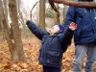 Robert praises trees