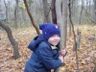 'Nice Tree' - Robert