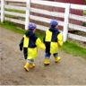 Robert and Jonathan go to look at the chickens