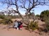A Funky Tree at Arches