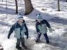 Robert and Jonathan crack some ice at Cranberry Lake preserve