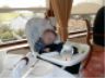 Jonathan naps at lunch