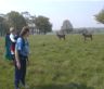Nancy and Jonathan look at the deer